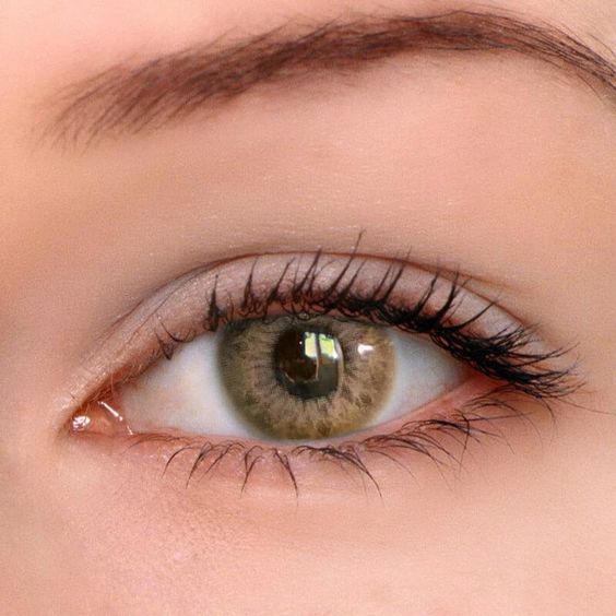 Lentes de Contacto Taylor Brown - Hazel